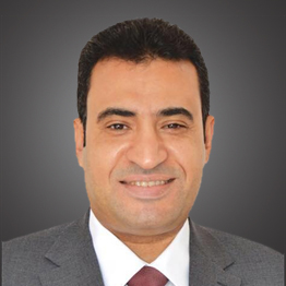 النائب/ أحمد حسن